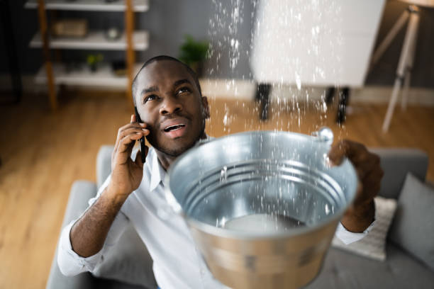 Best Water damage cleanup near me  in Loch Sheldrake, NY