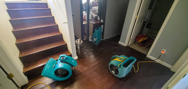 Best Professional water damage repair  in Loch Sheldrake, NY