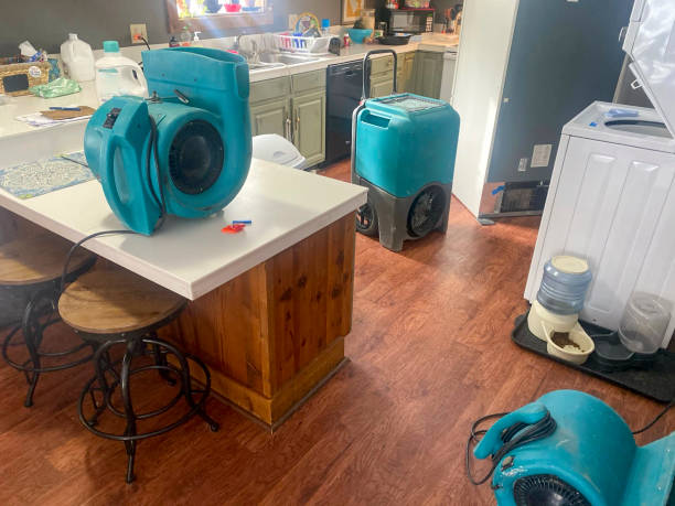 Best 24-hour water damage restoration  in Loch Sheldrake, NY