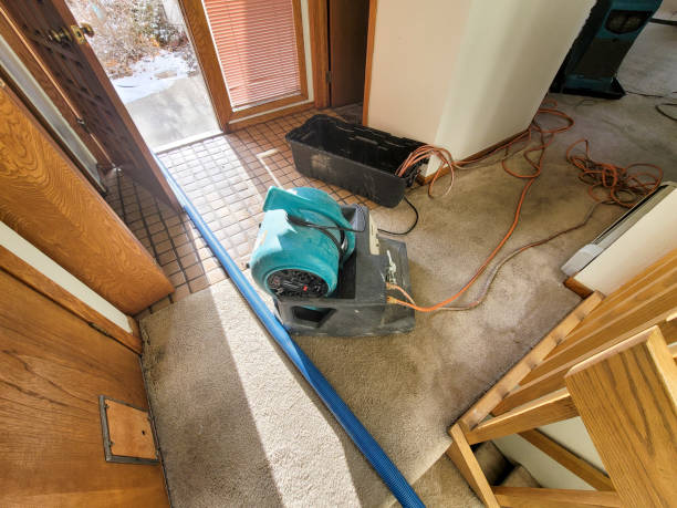 Best 24/7 water damage repair  in Loch Sheldrake, NY