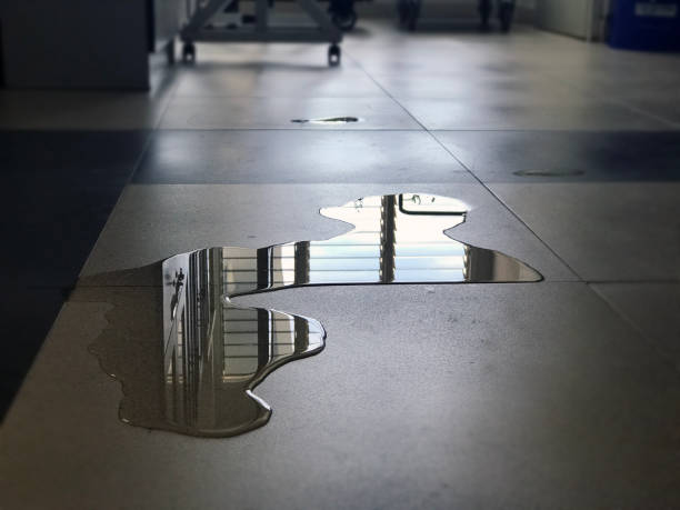 Best 24/7 water damage repair  in Loch Sheldrake, NY
