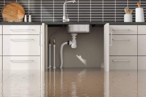 Best Residential water damage restoration  in Loch Sheldrake, NY
