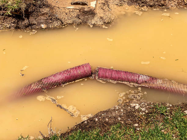 Best Carpet water damage restoration  in Loch Sheldrake, NY